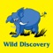 Organize your travel plans with Wild Discovery application, the largest network of travel agencies in Lebanon