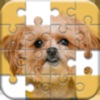 Jigsaw Puzzles Classic Games