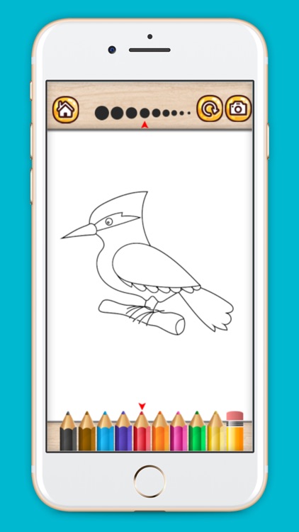 Bird coloring book drawing painting games for kids