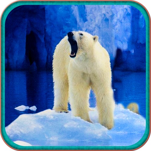 Wild Polar Bear Hunt Simulator Icon