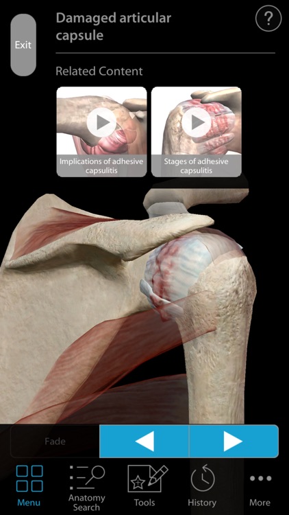 Muscle Premium - Human Anatomy, Kinesiology, Bones screenshot-3