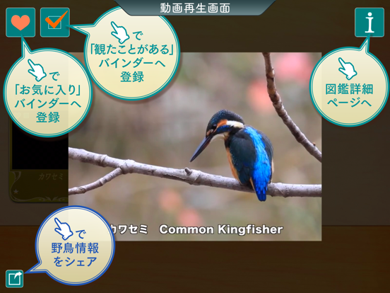 GPS動く野鳥図鑑400のおすすめ画像4