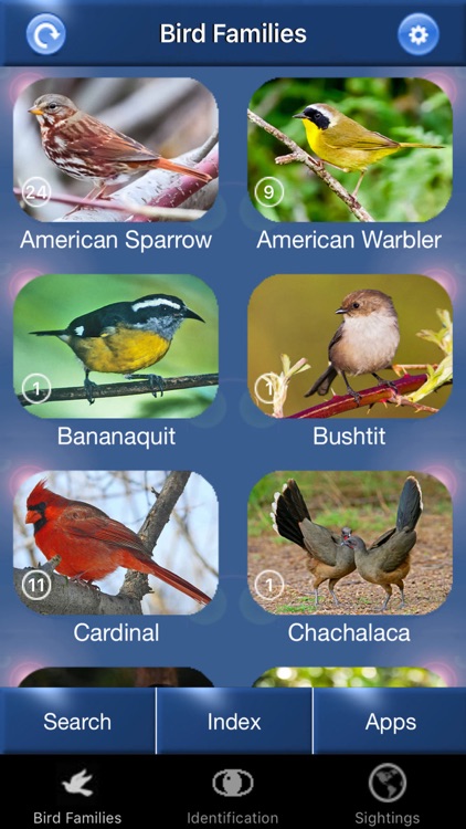 Bird Id USA Guide to identify Backyard Birds