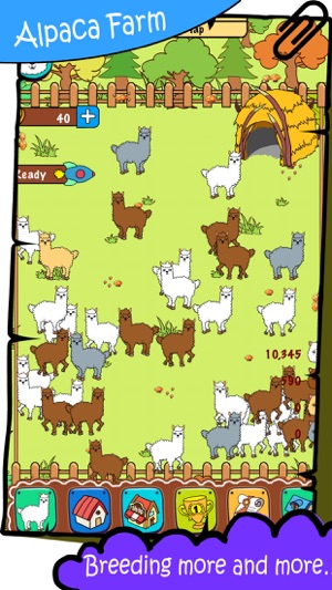 Alpaca Farm