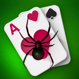 Spider Solitaire with Themes by WildTangent, Inc.