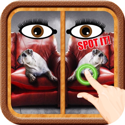 Find Spot The Difference #16 iOS App