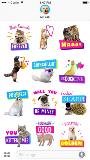 Just Fur You - Animated Hallmark Stickers(圖2)-速報App