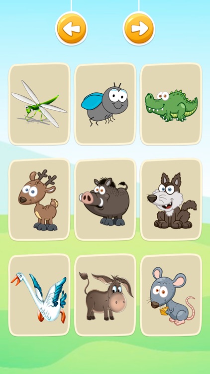 Animal Sounds! screenshot-3