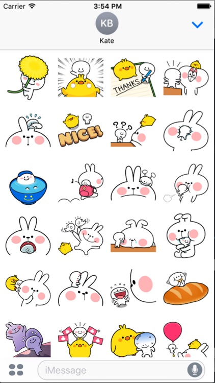 Cool Rabbit and Tiny Smiles