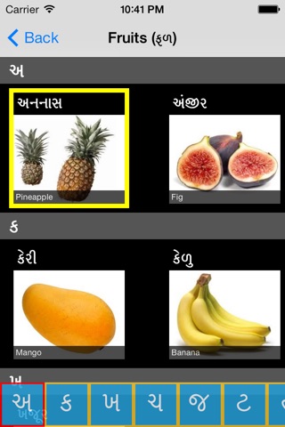 Learn Gujarati screenshot 4