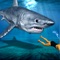 The crazy shark simulator game is here