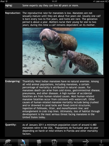 Manatees HD screenshot 2