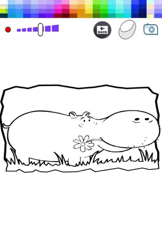 Animals Hippo Coloring Book - Finger Paint Book screenshot 2