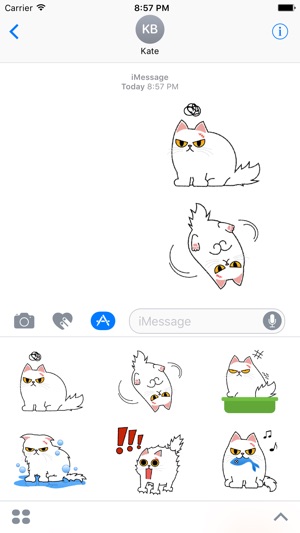 Cute Persian Cat Stickers Pack(圖1)-速報App