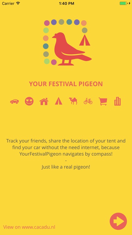 YourFestivalPigeon