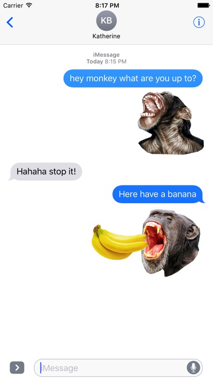 Monkey Head