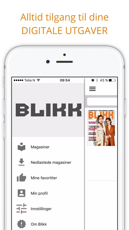 Blikk screenshot-3