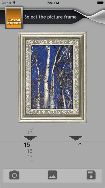 Frames Pro - Classical frames screenshot-4