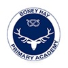 Boney Hay