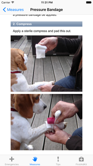 First Aid for Dogs(圖2)-速報App