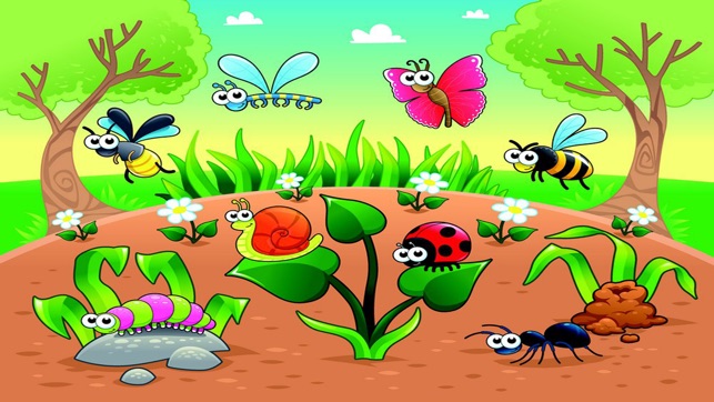 Baby Insect Jigsaws - Kids Learning Engl