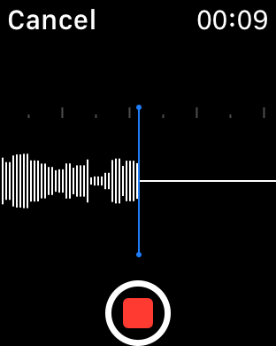 Screenshot #7 for Watch Me Record