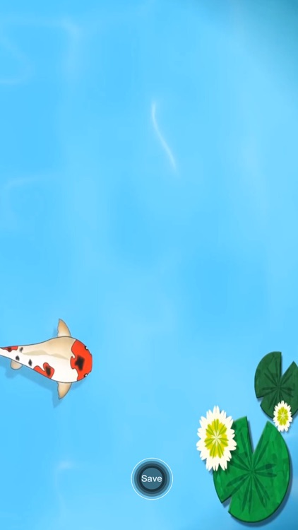 Koi Pond Live HD screenshot-3