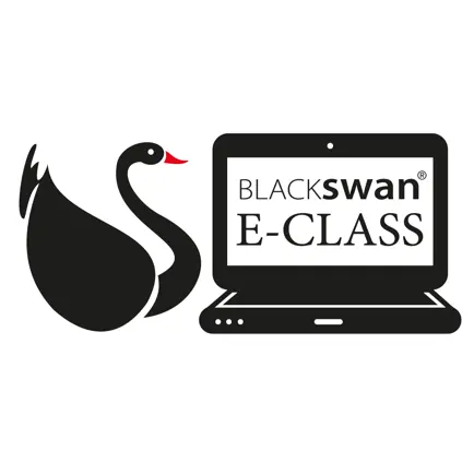 Blackswan E-Class Читы