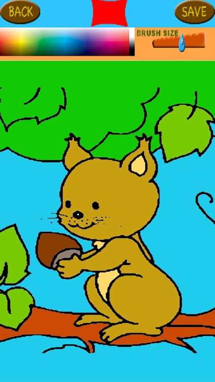 Squirrel Coloring Page Games For Kids Edition