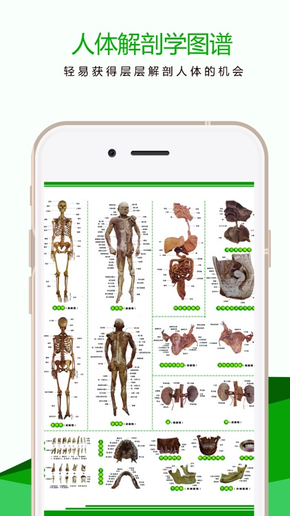 3Dbody解剖图谱-2017人体解剖生理学基础