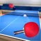 Table Tennis Touch brings realistic gameplay action to your fingertips