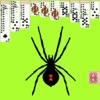 Spider Solitaire Game