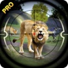 Jungle animals Hunting Pro