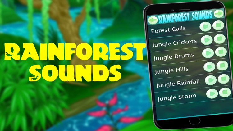 Rainforest Sounds