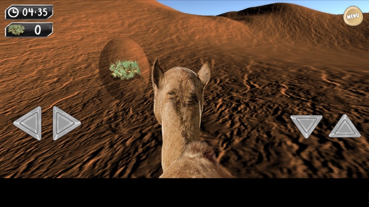 Drive Camel Simulator