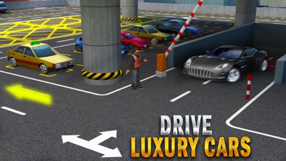 MULTI LEVEL CAR PARKING SPOT: DRIVING SCHOOL GAME 1.0 IOS