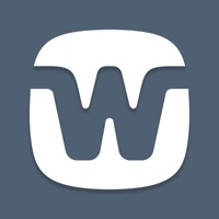 WIDEX MAGNIFY