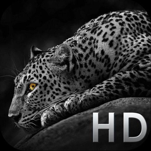 Cool Animals HD Awesome Themes & Wallpapers Icon