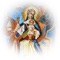 The St Rose of Lima Church App is built by Liturgical Publications Inc