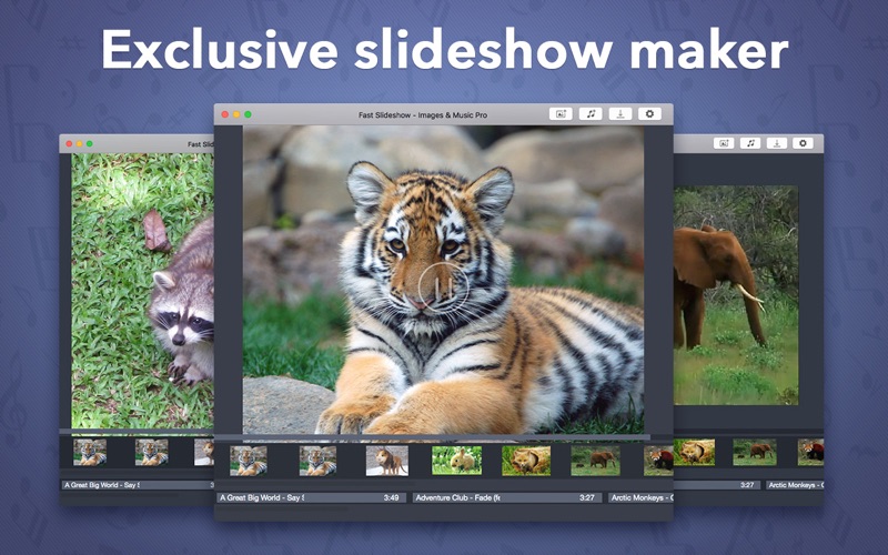 Fast Slideshow - Images &amp; Music Pro thumbnail 1