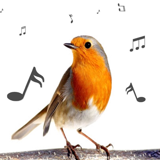 Bird Calls and Sounds Ringtones Free Icon