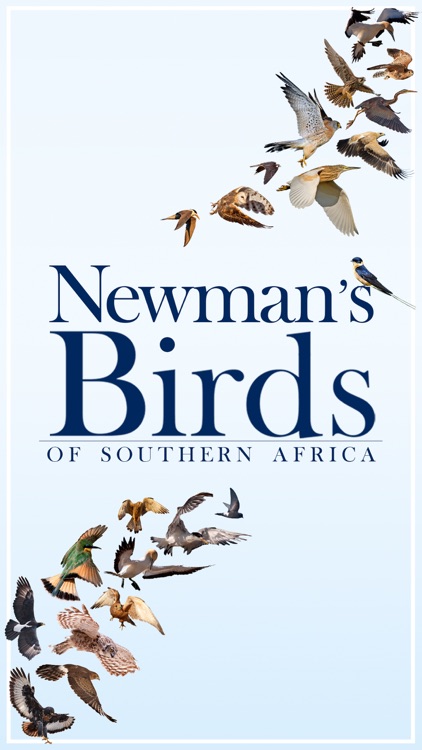 Newman’s Birds of Africa LITE screenshot-4