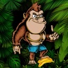 Monkey Kong Jungle Adventure