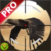Desert Birds Sniper Shooter Pro: Sahara Hunter