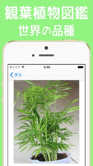 観葉植物図鑑 世界の品種 62種類 をapp Storeで