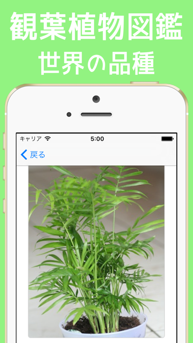 観葉植物図鑑 世界の品種 62種類 Iphoneアプリ Applion