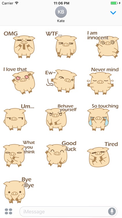 Finn The Funny Pig Brother Stickers