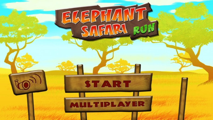 An Elephant Safari Run