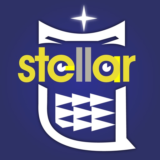 SIM Stellar Icon