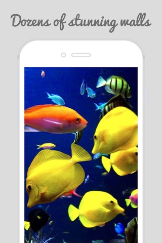 Underwater World Wallpapers screenshot 2